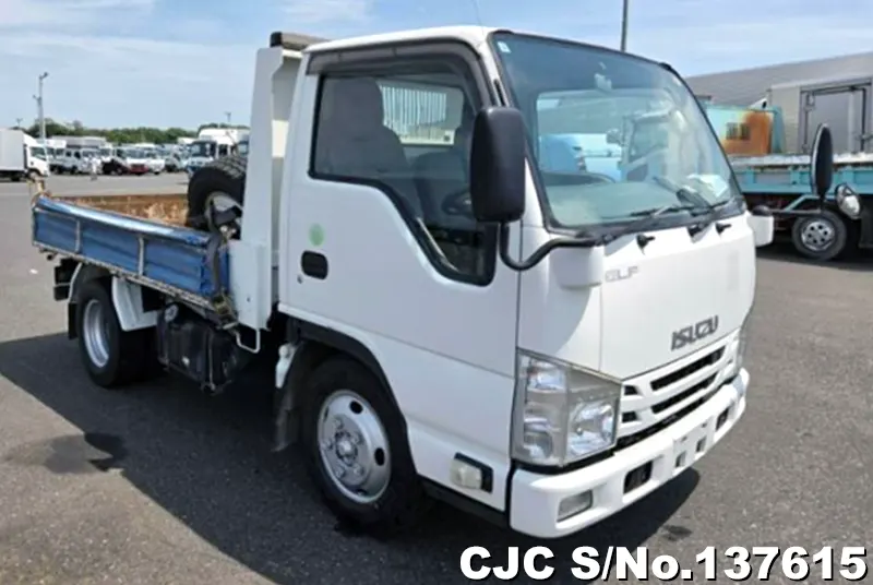 Isuzu / Elf 2015